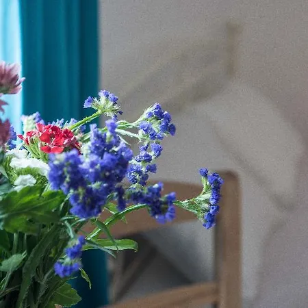 Depis Luxury Lägenhet Naxos City