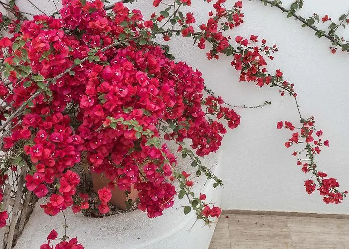 Depis Luxury Apartment